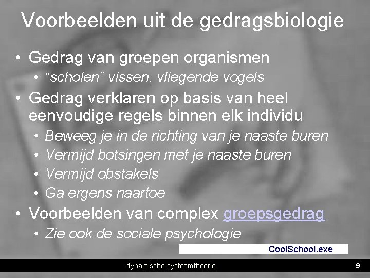 Voorbeelden uit de gedragsbiologie • Gedrag van groepen organismen • “scholen” vissen, vliegende vogels