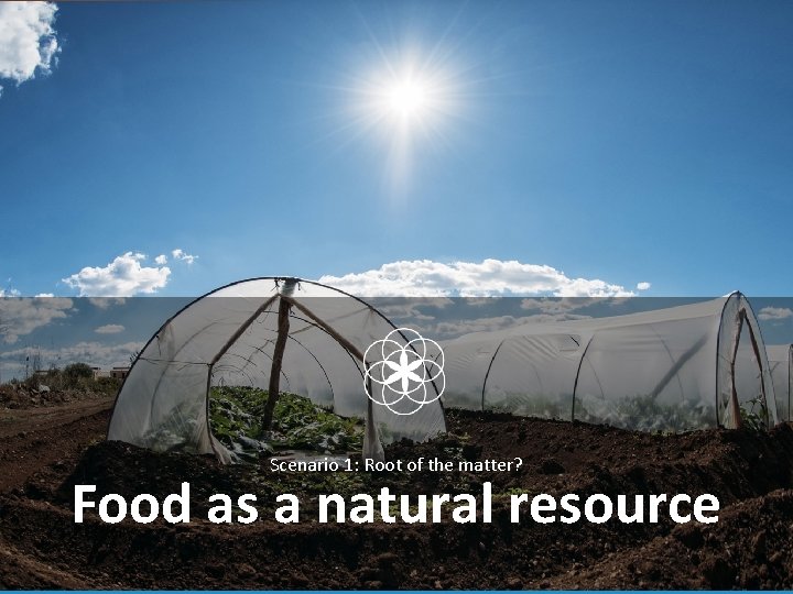 Scenario 1: Root of the matter? Food as a natural resource 