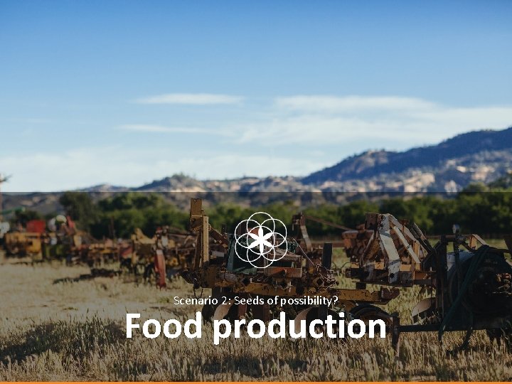 Scenario 2: Seeds of possibility? Food production 