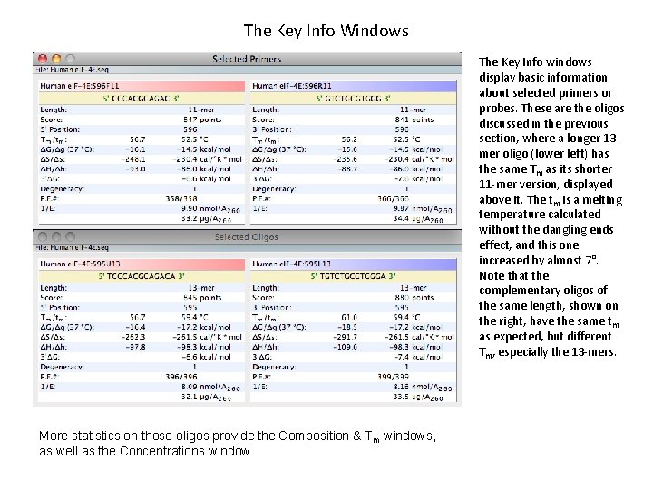 The Key Info Windows The Key Info windows display basic information about selected primers