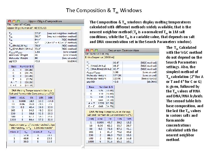 The Composition & Tm Windows The Composition & Tm windows display melting temperatures calculated