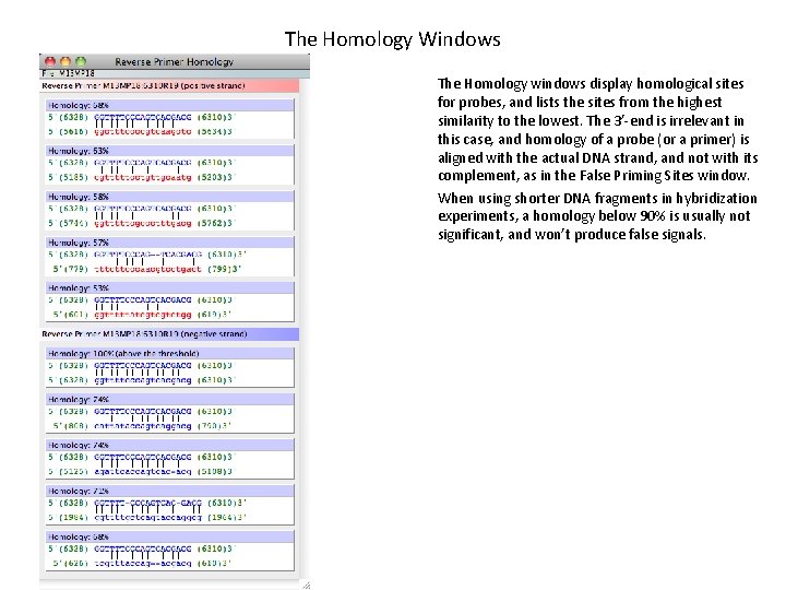 The Homology Windows The Homology windows display homological sites for probes, and lists the