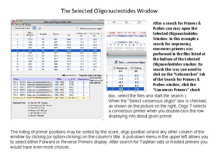 The Selected Oligonucleotides Window After a search for Primers & Probes you may open