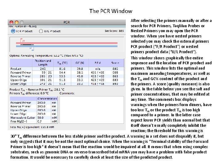 The PCR Window After selecting the primers manually or after a search for PCR