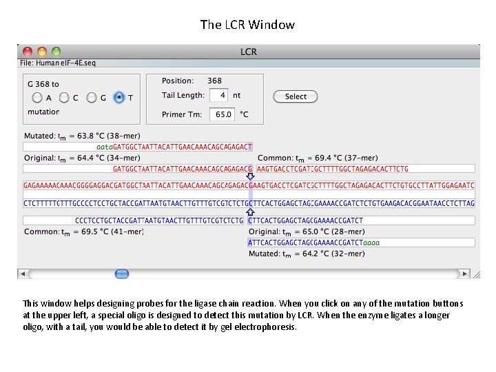 The LCR Window This window helps designing probes for the ligase chain reaction. When