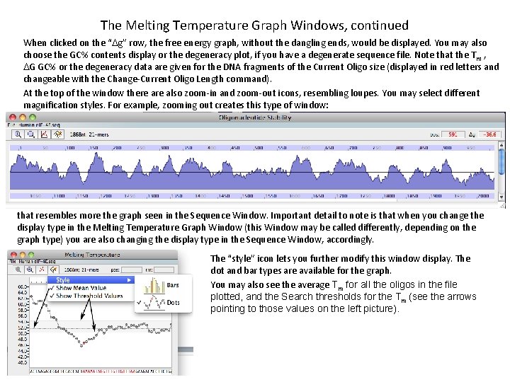 The Melting Temperature Graph Windows, continued When clicked on the “Dg” row, the free