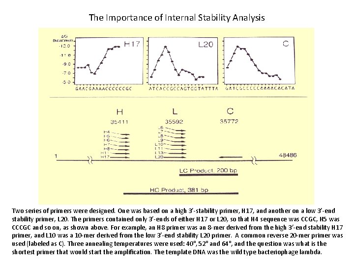 The Importance of Internal Stability Analysis Two series of primers were designed. One was