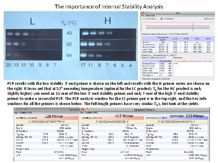 The Importance of Internal Stability Analysis PCR results with the low stability 3’-end primer