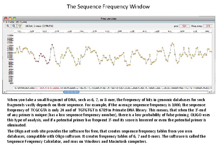 The Sequence Frequency Window When you take a small fragment of DNA, such as