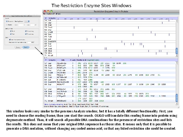 The Restriction Enzyme Sites Windows This window looks very similar to the previous Analysis