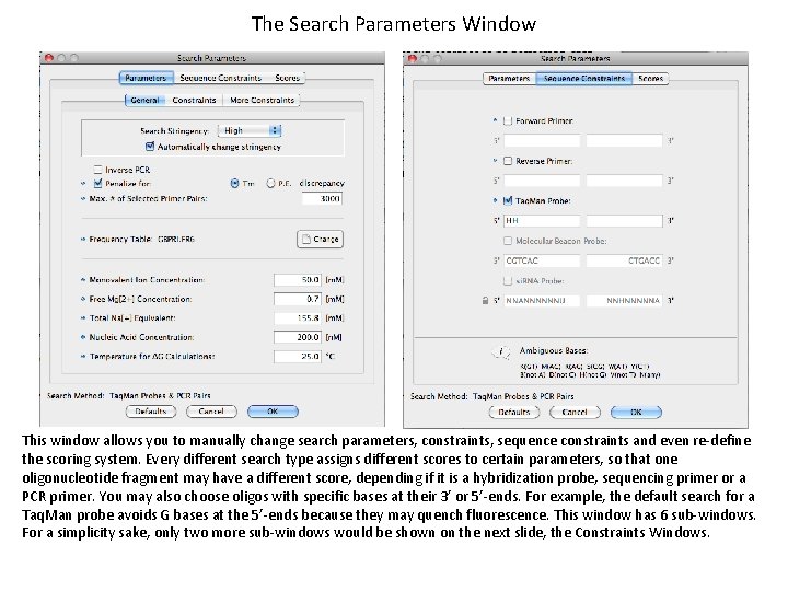 The Search Parameters Window This window allows you to manually change search parameters, constraints,