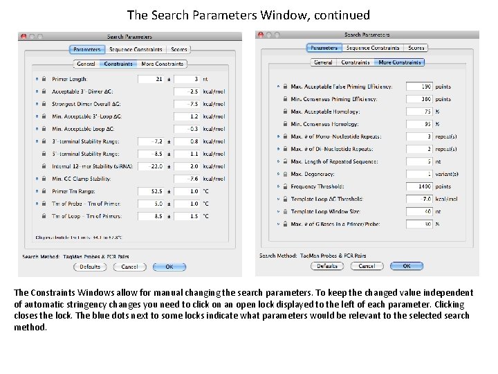 The Search Parameters Window, continued The Constraints Windows allow for manual changing the search