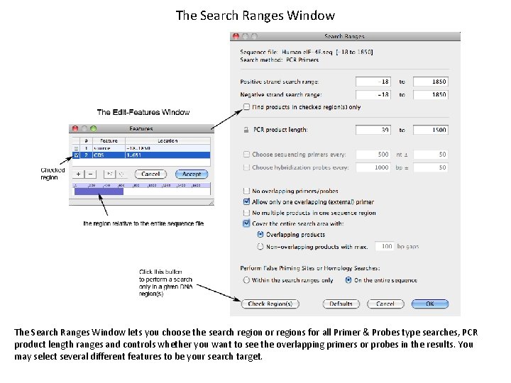 The Search Ranges Window lets you choose the search region or regions for all