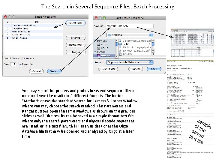 The Search in Several Sequence Files: Batch Processing You may search for primers and