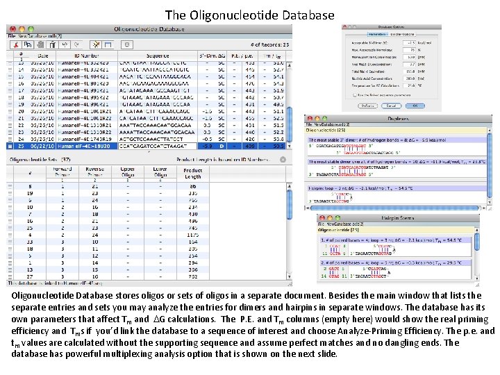 The Oligonucleotide Database stores oligos or sets of oligos in a separate document. Besides