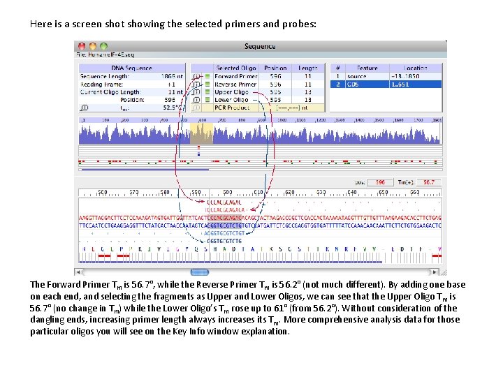 Here is a screen shot showing the selected primers and probes: The Forward Primer