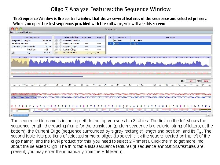 Oligo 7 Analyze Features: the Sequence Window The Sequence Window is the central window
