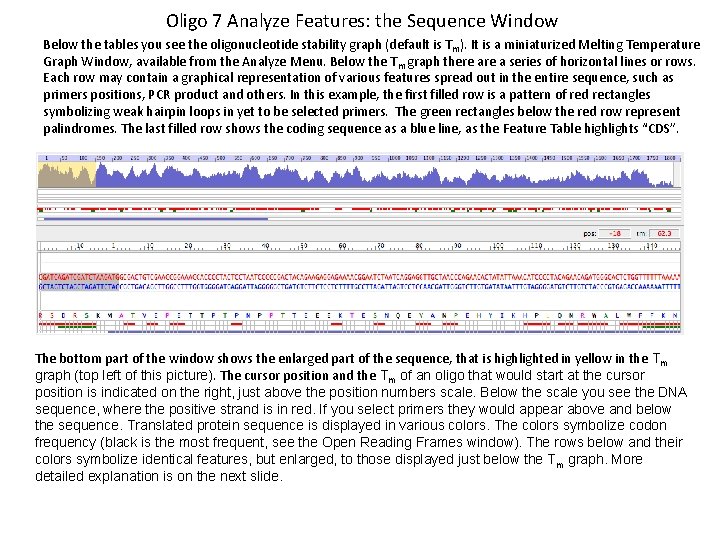 Oligo 7 Analyze Features: the Sequence Window Below the tables you see the oligonucleotide