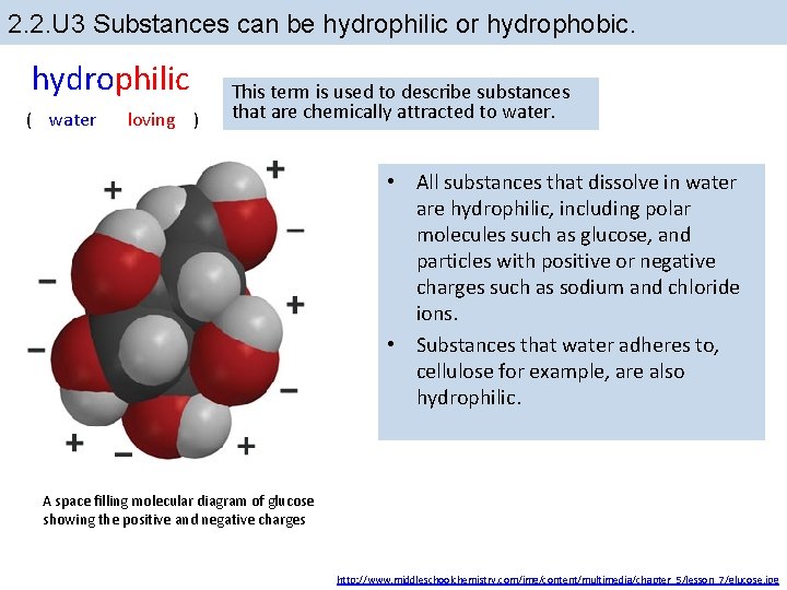 2. 2. U 3 Substances can be hydrophilic or hydrophobic. hydrophilic ( water loving 2. 2. U 3 Substances can be hydrophilic or hydrophobic. hydrophilic ( water loving