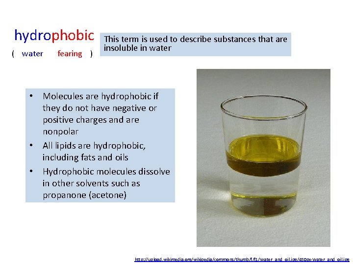 hydrophobic ( water fearing ) This term is used to describe substances that are hydrophobic ( water fearing ) This term is used to describe substances that are