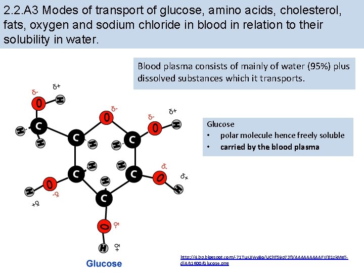 2. 2. A 3 Modes of transport of glucose, amino acids, cholesterol, fats, oxygen 2. 2. A 3 Modes of transport of glucose, amino acids, cholesterol, fats, oxygen