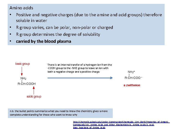 Amino acids • Positive and negative charges (due to the amine and acid groups) Amino acids • Positive and negative charges (due to the amine and acid groups)
