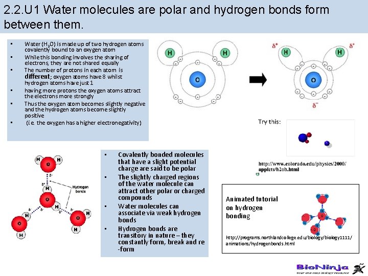 2. 2. U 1 Water molecules are polar and hydrogen bonds form between them. 2. 2. U 1 Water molecules are polar and hydrogen bonds form between them.