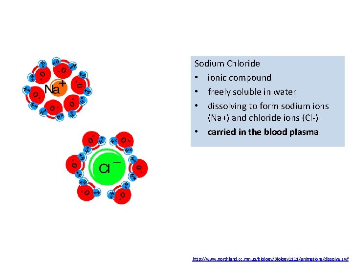 Sodium Chloride • ionic compound • freely soluble in water • dissolving to form Sodium Chloride • ionic compound • freely soluble in water • dissolving to form