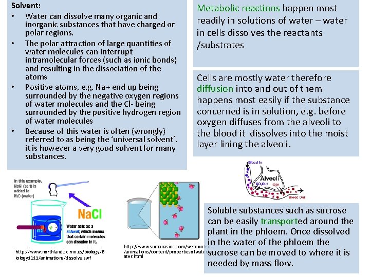 Solvent: • Water can dissolve many organic and inorganic substances that have charged or Solvent: • Water can dissolve many organic and inorganic substances that have charged or