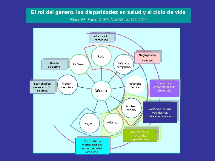 El rol del género, las disparidades en salud y el ciclo de vida Fikree