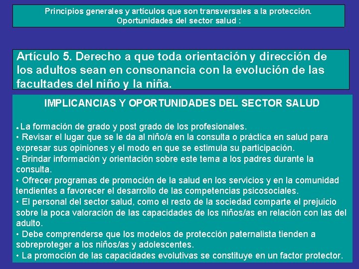 Principios generales y artículos que son transversales a la protección. Oportunidades del sector salud