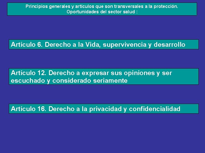 Principios generales y artículos que son transversales a la protección. Oportunidades del sector salud