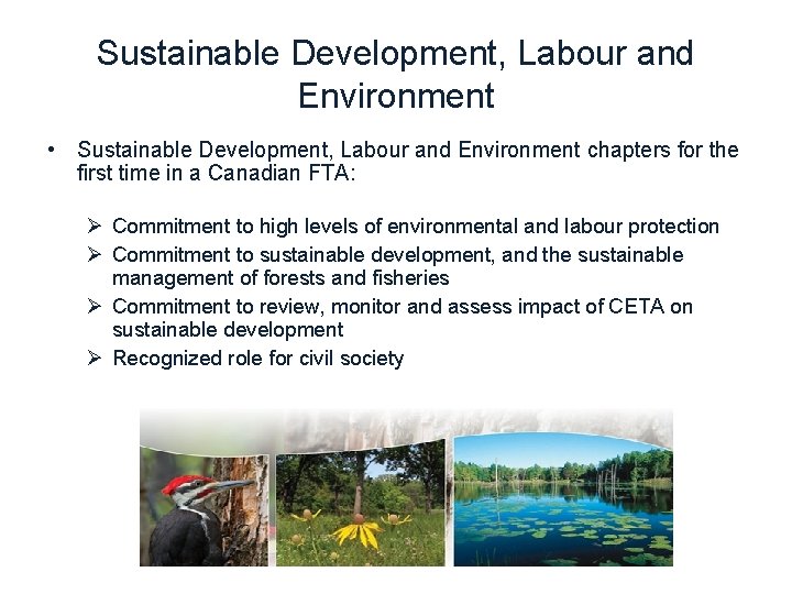 Sustainable Development, Labour and Environment • Sustainable Development, Labour and Environment chapters for the