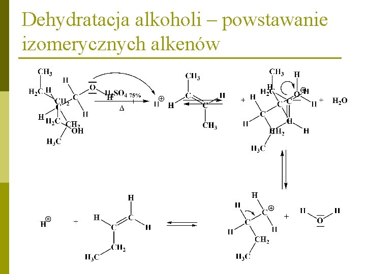 Dehydratacja alkoholi – powstawanie izomerycznych alkenów 