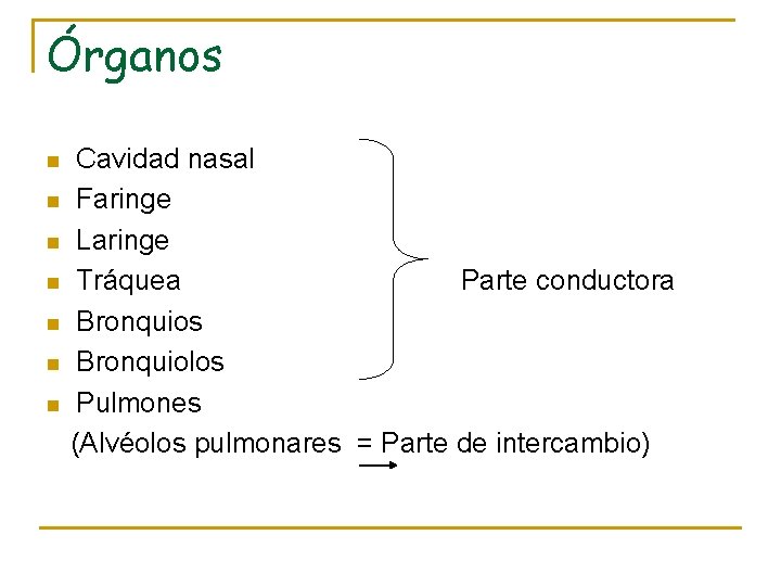 Órganos n n n n Cavidad nasal Faringe Laringe Tráquea Parte conductora Bronquios Bronquiolos