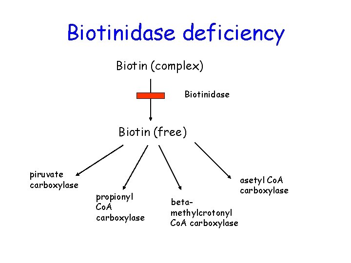 Biotinidase deficiency Biotin (complex) Biotinidase Biotin (free) piruvate carboxylase propionyl Co. A carboxylase betamethylcrotonyl