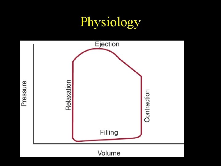 Physiology 