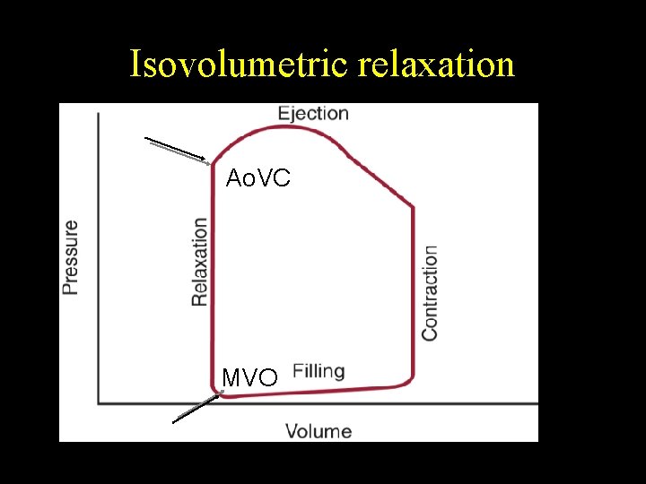 Isovolumetric relaxation Ao. VC MVO 