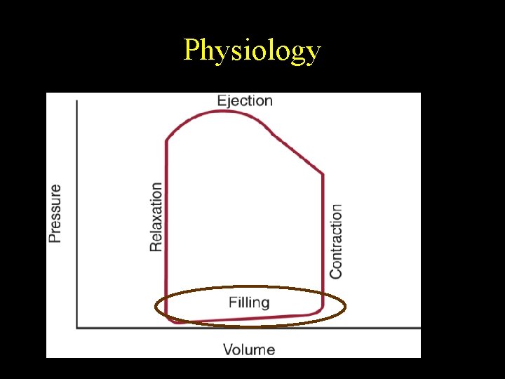 Physiology 