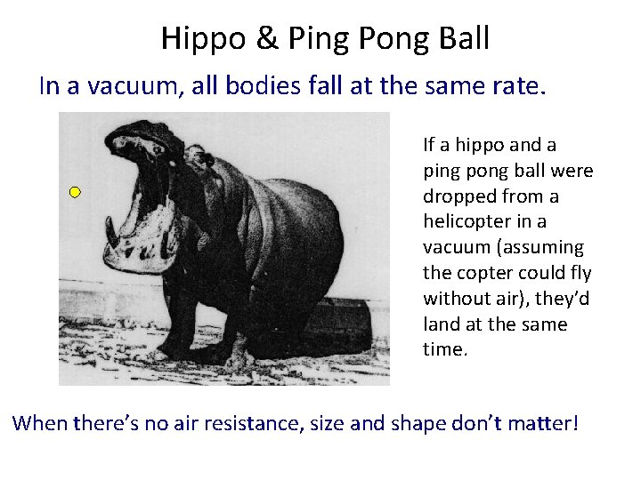 Hippo & Ping Pong Ball In a vacuum, all bodies fall at the same