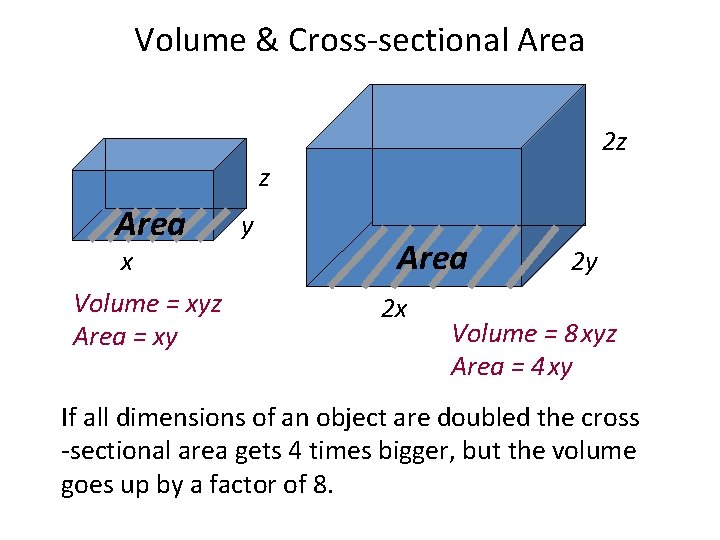 Volume & Cross-sectional Area 2 z z Area x Volume = xyz Area =