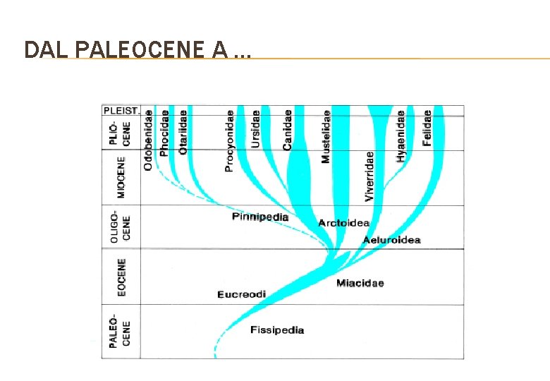 DAL PALEOCENE A … 