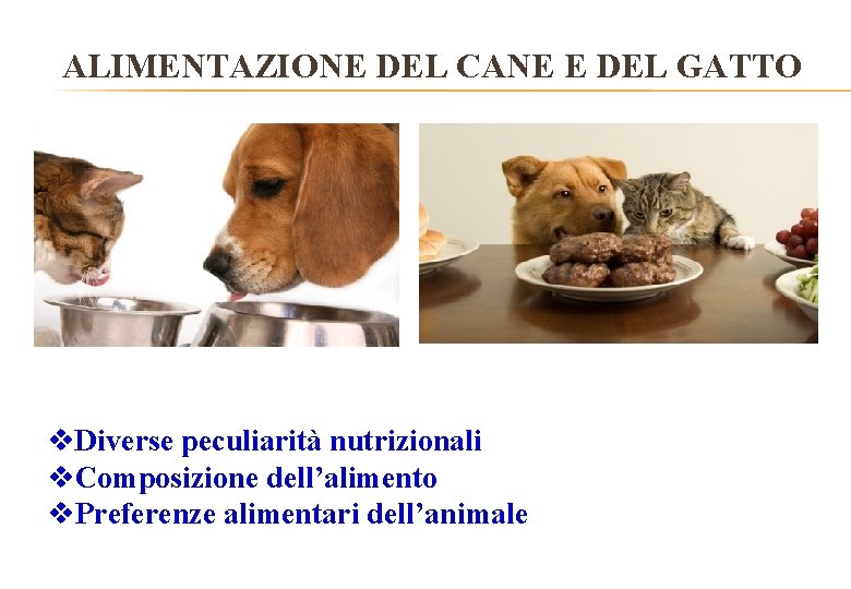 ALIMENTAZIONE DEL CANE E DEL GATTO v. Diverse peculiarità nutrizionali v. Composizione dell’alimento v.