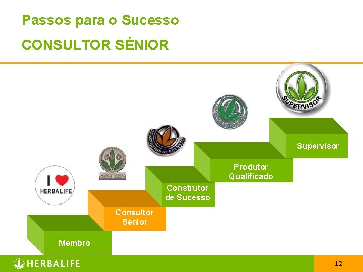Passos para o Sucesso CONSULTOR SÉNIOR Supervisor Produtor Qualificado Construtor de Sucesso Consultor Sénior