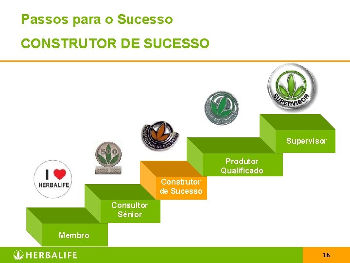 Passos para o Sucesso CONSTRUTOR DE SUCESSO Supervisor Produtor Qualificado Construtor de Sucesso Consultor