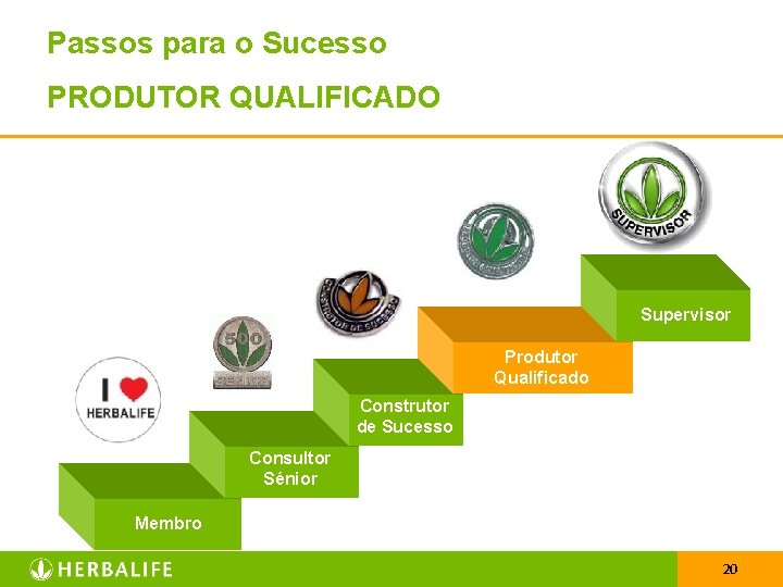 Passos para o Sucesso PRODUTOR QUALIFICADO Supervisor Produtor Qualificado Construtor de Sucesso Consultor Sénior
