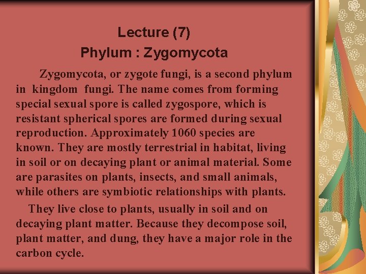 Lecture (7) Phylum : Zygomycota, or zygote fungi, is a second phylum in kingdom