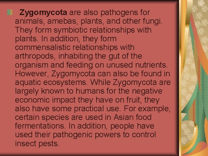 Zygomycota are also pathogens for animals, amebas, plants, and other fungi. They form symbiotic