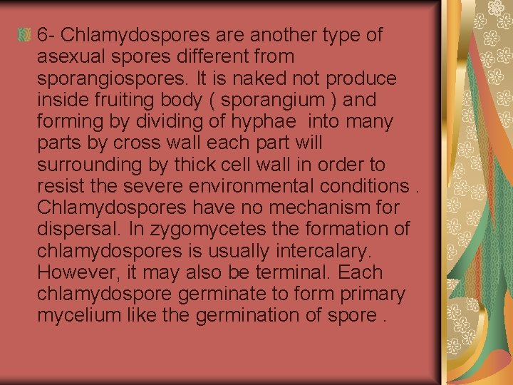 6 - Chlamydospores are another type of asexual spores different from sporangiospores. It is