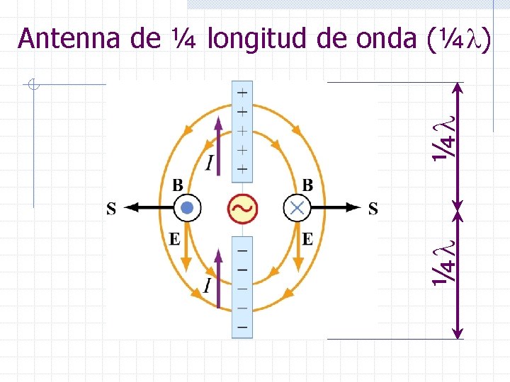 ¼ ¼ Antenna de ¼ longitud de onda (¼ ) 